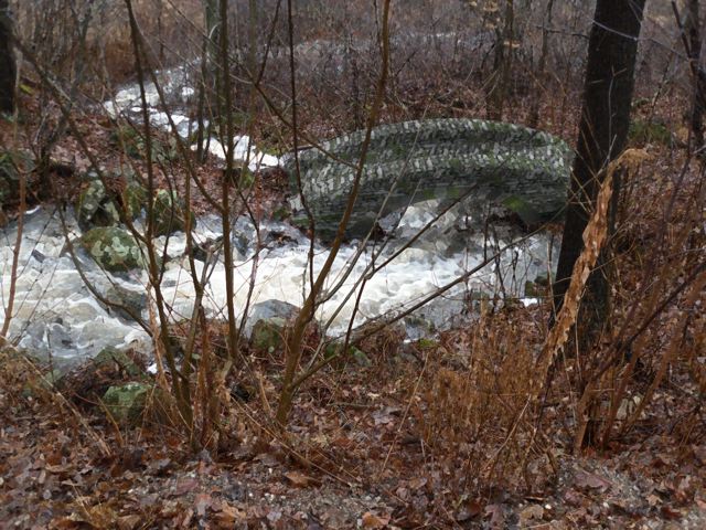 festival bridge design for Landen Bay hiking trail